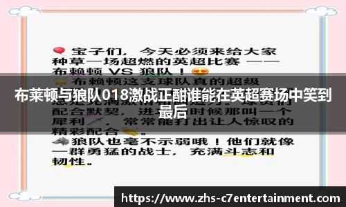 布莱顿与狼队018激战正酣谁能在英超赛场中笑到最后
